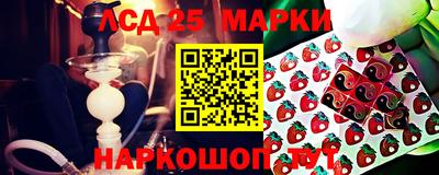 молекула духа Славянск-на-Кубани