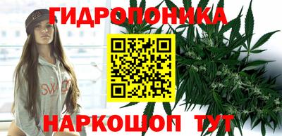 молекула духа Славянск-на-Кубани