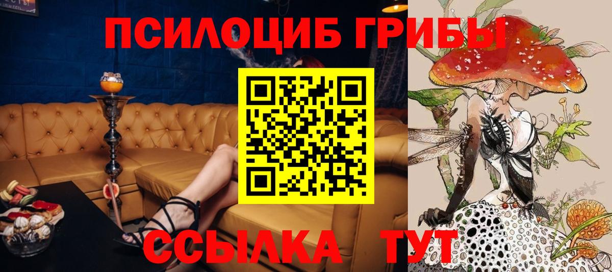 Псилоцибиновые грибы GOLDEN TEACHER  Вход с VPN  Нововоронеж 