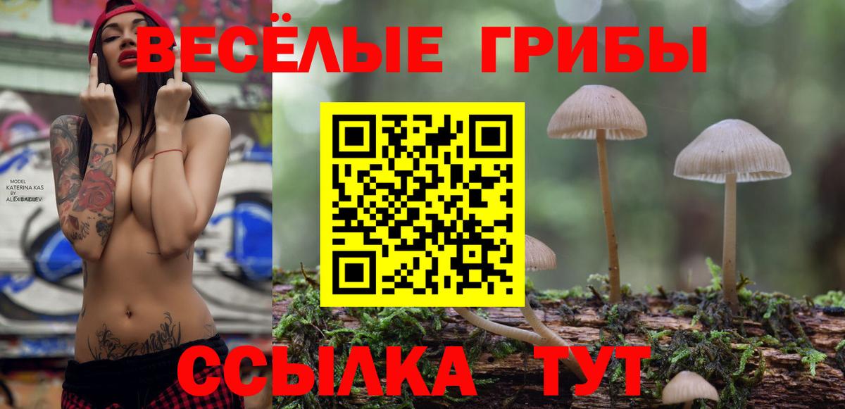 Галлюциногенные грибы ЛСД Нововоронеж