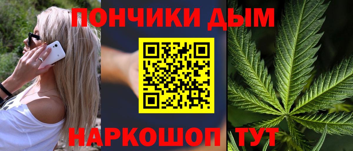 Марихуана сатива Нововоронеж